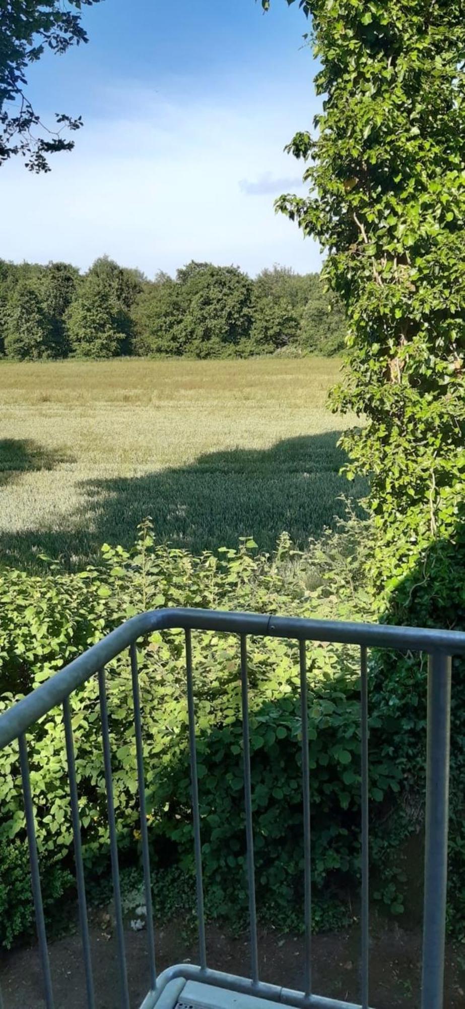 Landperle Lägenhet Schortens Exteriör bild